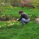 My Neighbor Sneaked into My Yard with a Shovel, Thinking I Wasn’t Home — I Was Shocked When I Saw What She Dug up from My Lawn