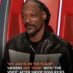 ‘My Jaw Is on the Floor’: Viewers Discuss Snoop Dogg’s ‘The Voice’ Playoffs Decisions