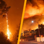 How LA Wildfires Might Impact Every American’s Finances, Regardless of Location